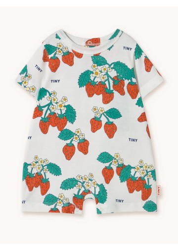 Strawberries Onepiece