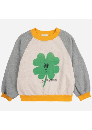 Raglan Sweatshirt