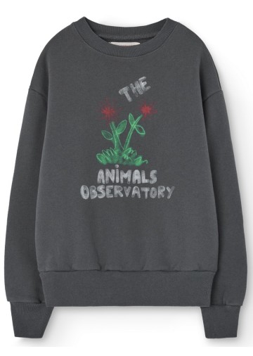 Bear Sweatshirt