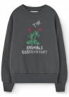 Bear Sweatshirt