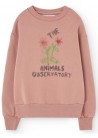 Bear Sweatshirt