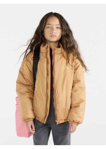 Crocodile Jacket