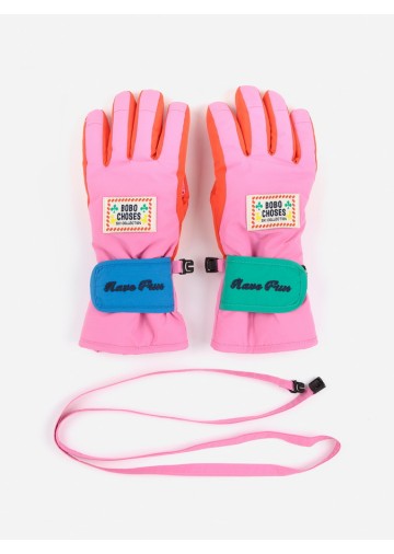 Ski Gloves