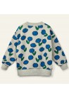 Dancing Dahlia Sweat