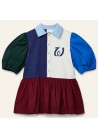 Beau Collar Dress