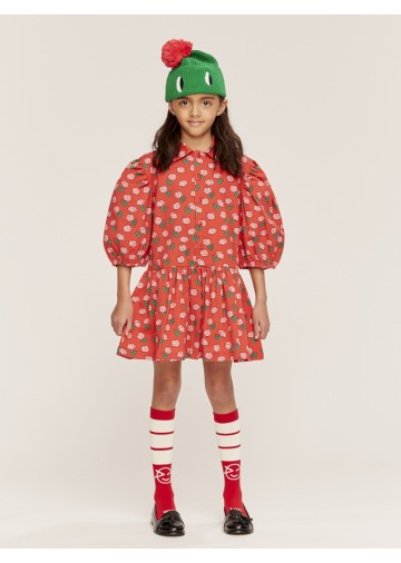 Beau Collar Dress