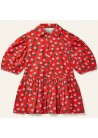Beau Collar Dress