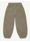 Balloon Pants Velour