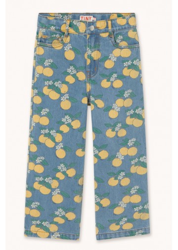 Oranges Denim Pants