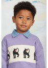 Panther Panel Sweatshirt