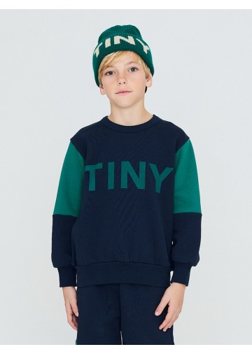 Tiny Color Block Sweatshirt
