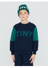 Tiny Color Block Sweatshirt