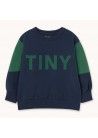Tiny Color Block Sweatshirt