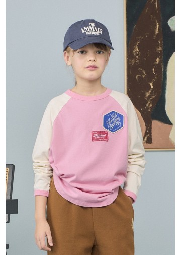 Anteater Raglan Sleeve T-shirt