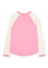 Anteater Raglan Sleeve T-shirt