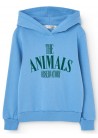 Angelfish Hoodie