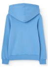 Angelfish Hoodie