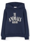 Angelfish Hoodie