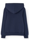 Angelfish Hoodie