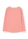 Anteater Raglan Sleeve T-shirt