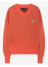 Toucan Sweater